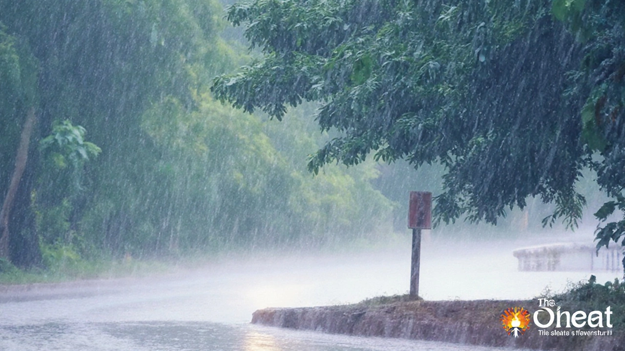 सतर्कता और स्वास्थ्य पर संभावित प्रभाव